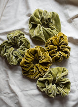 Load image into Gallery viewer, Signature Honeydove Silk Velvet Scrunchies

